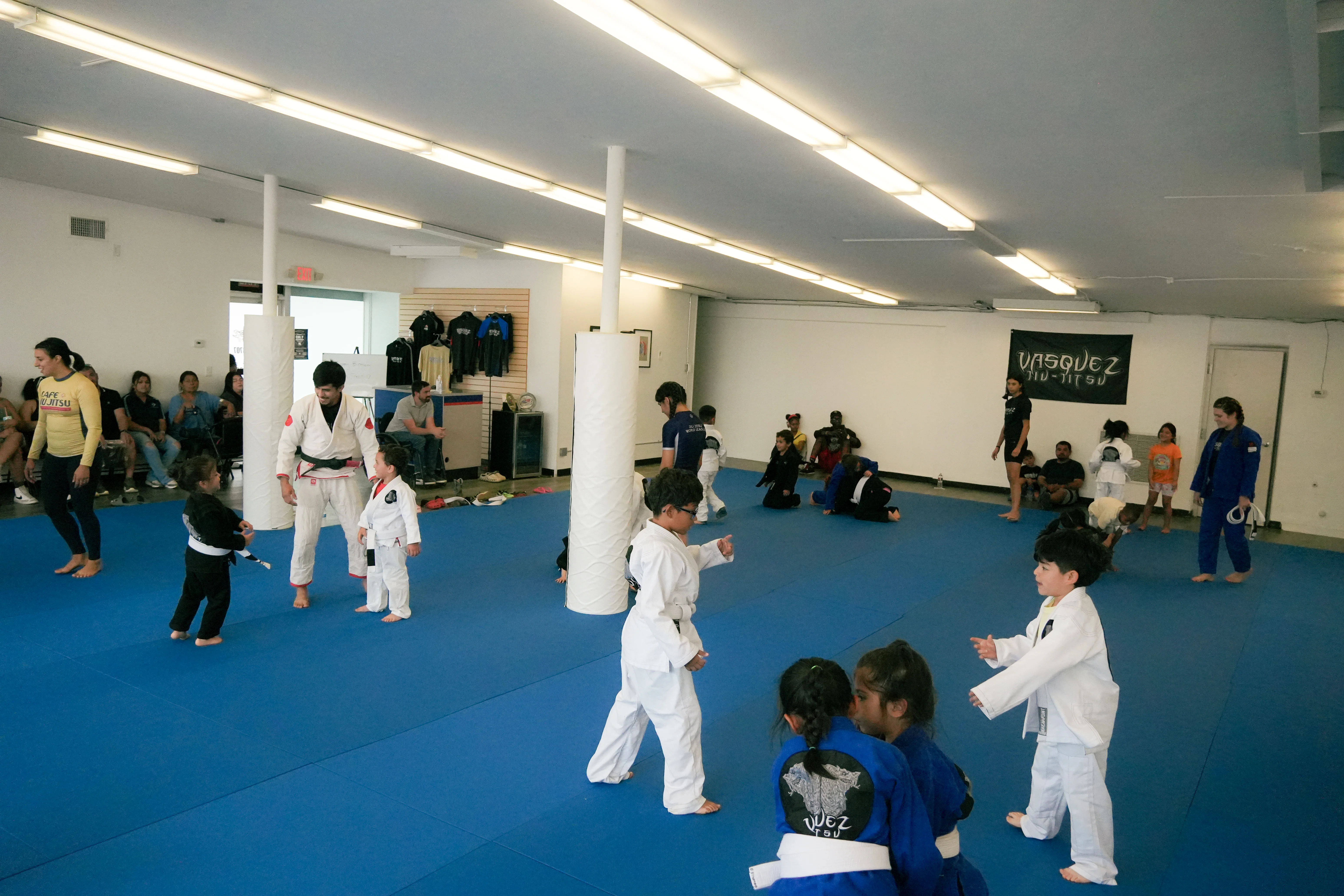 BJJ training session